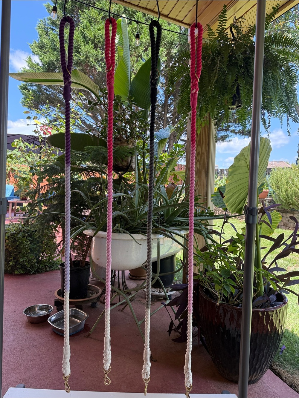 Ombre 50” rope leach for dogs